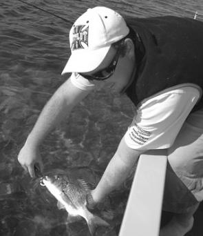 A lovely lure-caught bream being released.